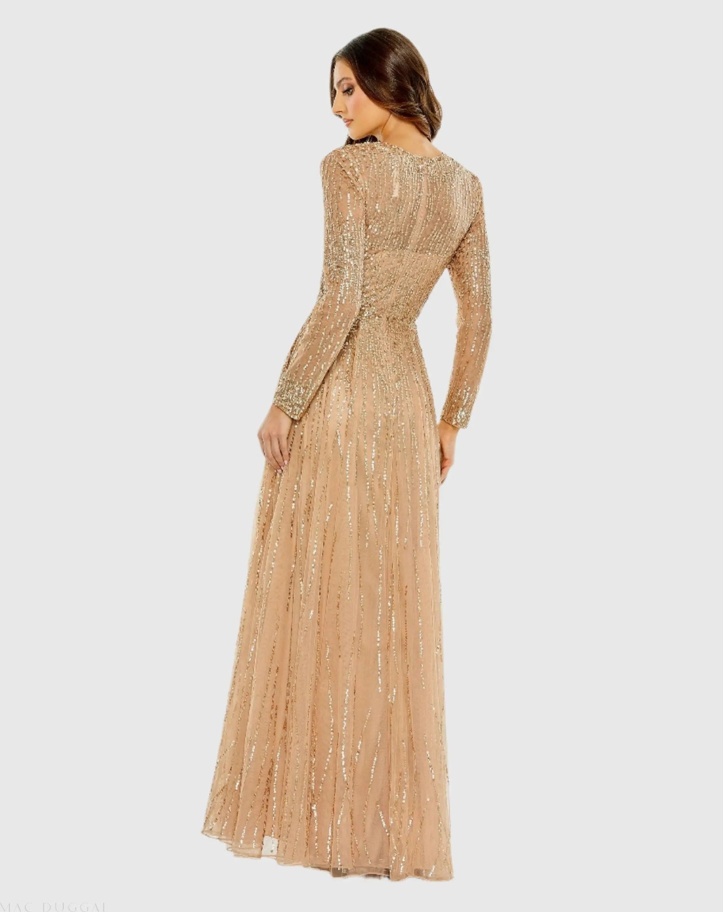 Beige Illusion High Neck Long Sleeve Embellished Gown