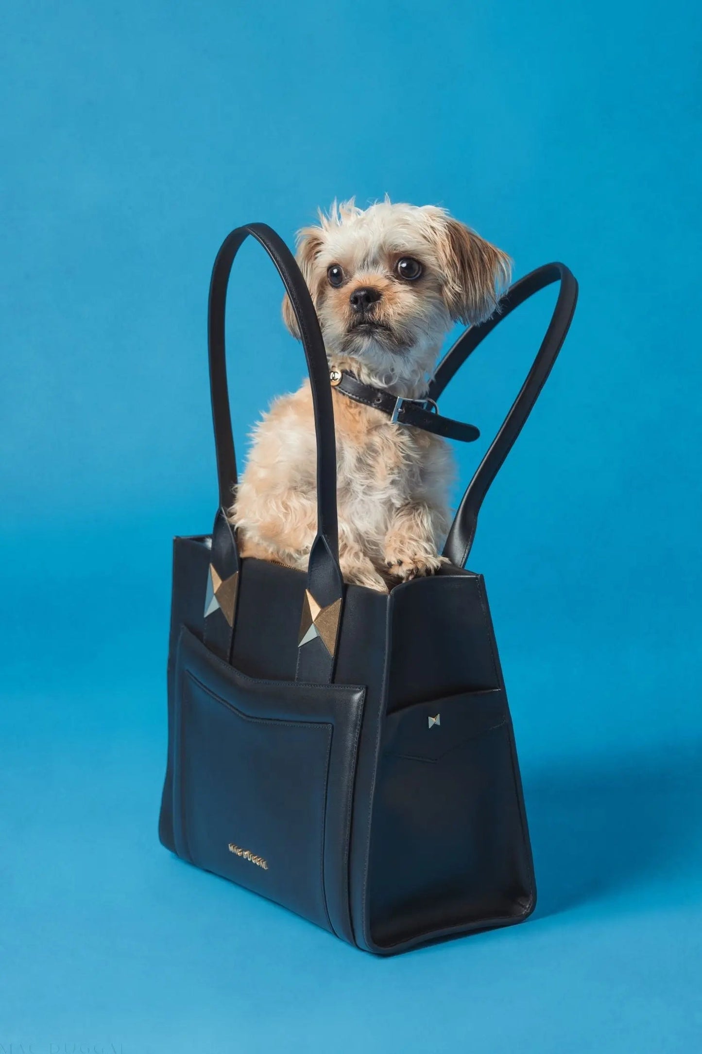 Black Large Leather Briefcase Bag With Gold Hardware